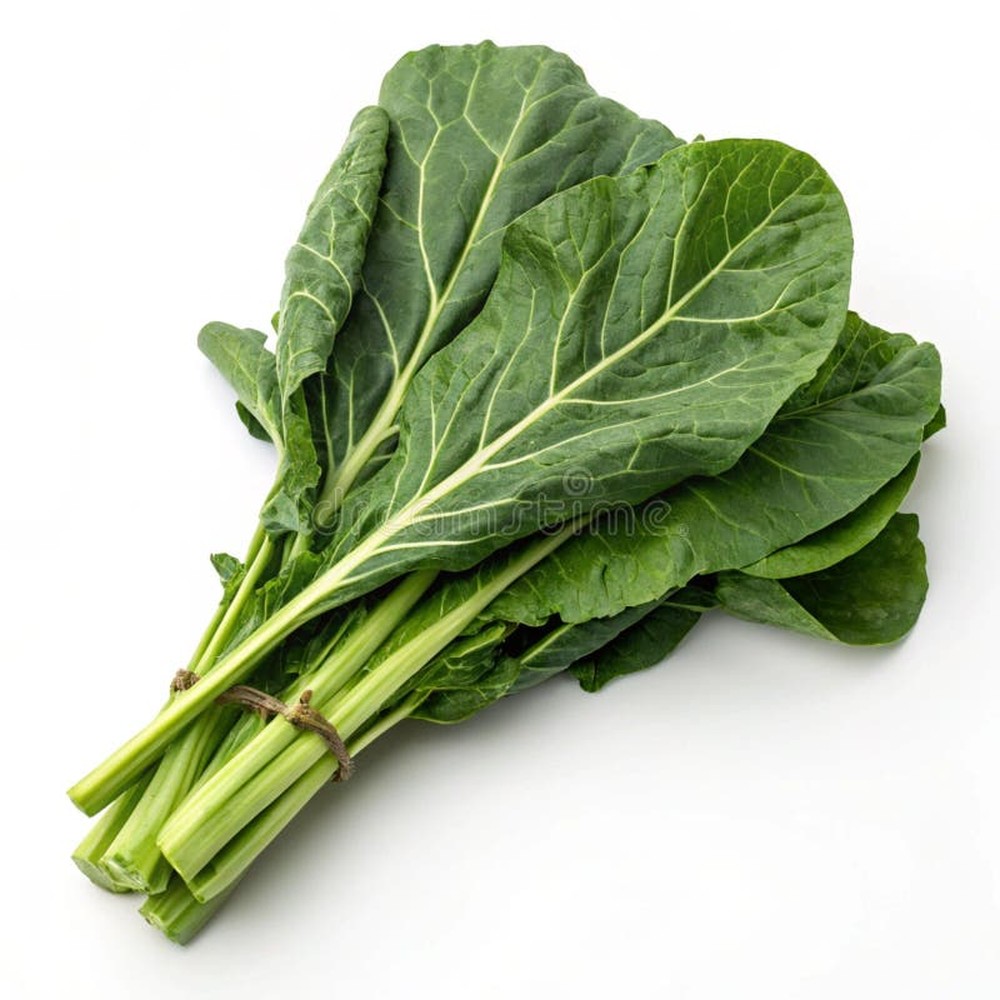 The Greens Cookbook: Southern Vegetable Traditions